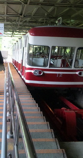 e0008223_3451955.jpg