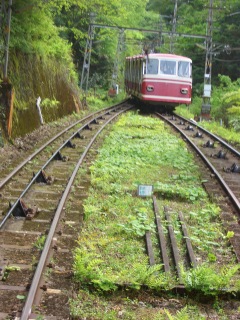 e0008223_3453669.jpg