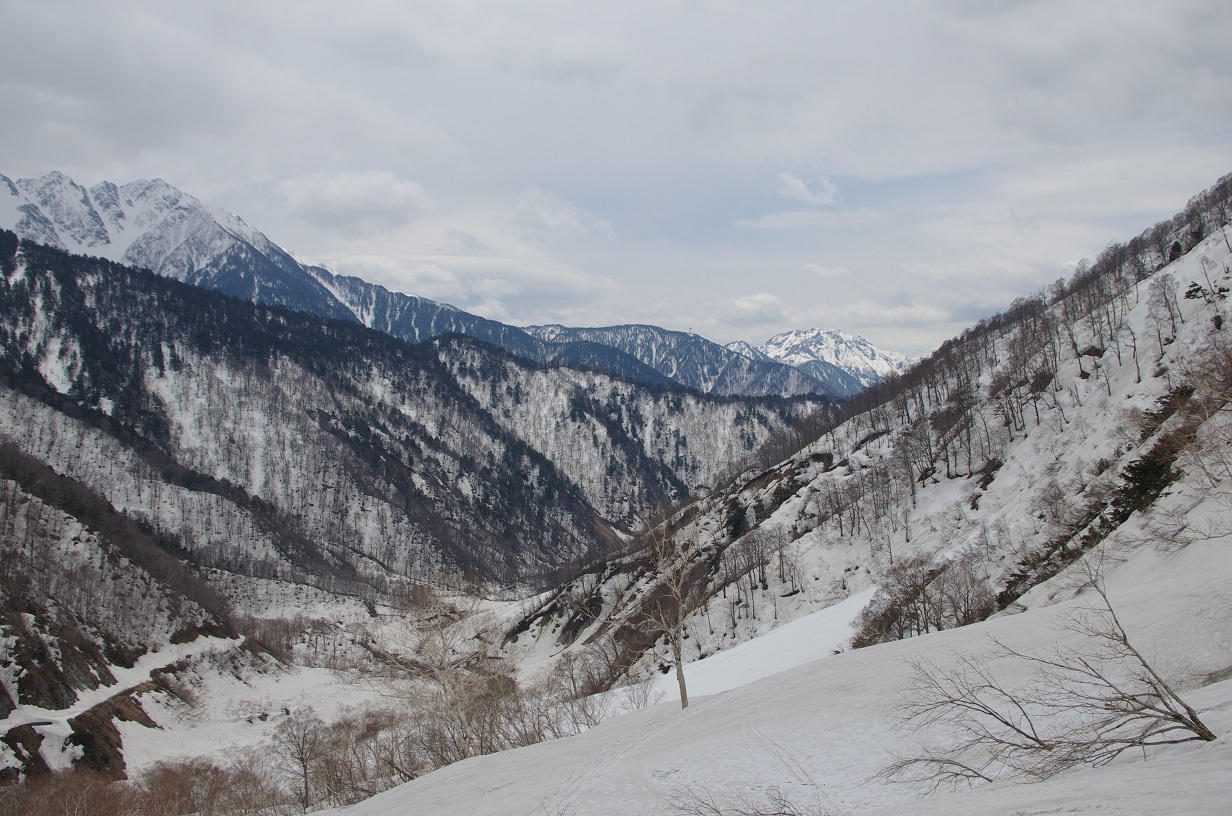 b0062024_15434913.jpg