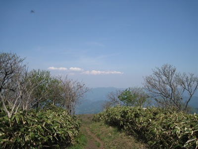 f0158625_14412835.jpg