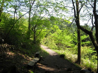 f0158625_1441919.jpg