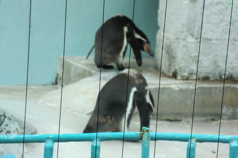 c0236632_8112144.jpg