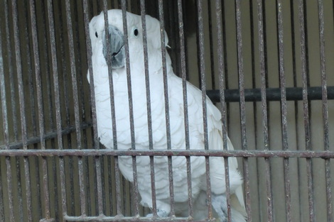 c0236632_8123764.jpg
