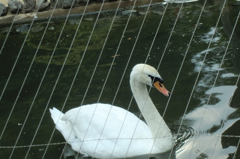 c0236632_8154281.jpg