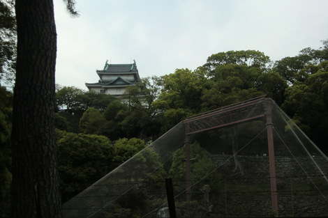 c0236632_8161874.jpg