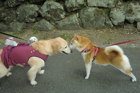 c0236632_8251878.jpg