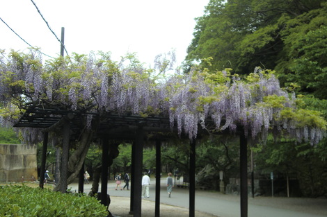 c0236632_83297.jpg