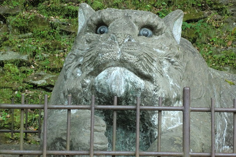 c0236632_845567.jpg