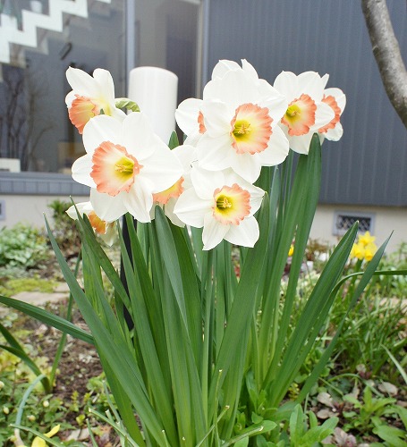 f0205733_1152338.jpg