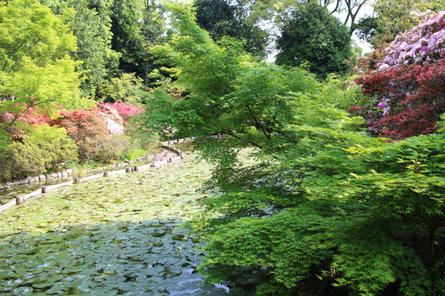 d0033734_2181663.jpg