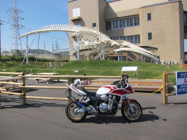e0192034_1810148.jpg