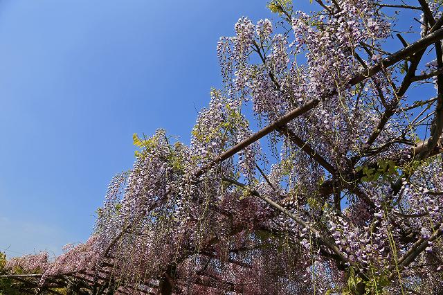 a0242438_18314547.jpg