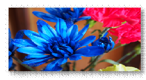 e0255638_14463585.png