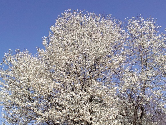 c0254440_21374468.jpg