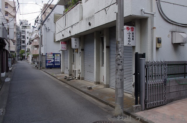 a0009142_1164690.jpg
