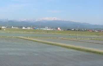 e0172950_7542366.jpg