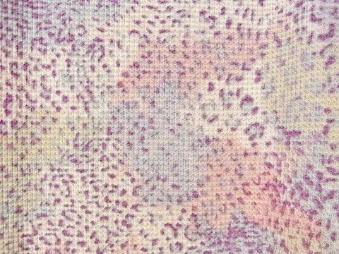 a0159652_21561764.jpg