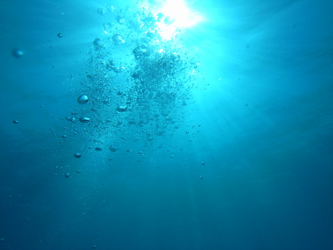 d0076952_15393441.jpg