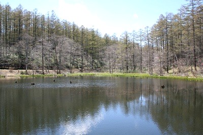 b0223456_2283587.jpg