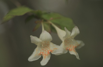f0232758_21104860.jpg