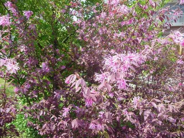 f0208760_17335114.jpg