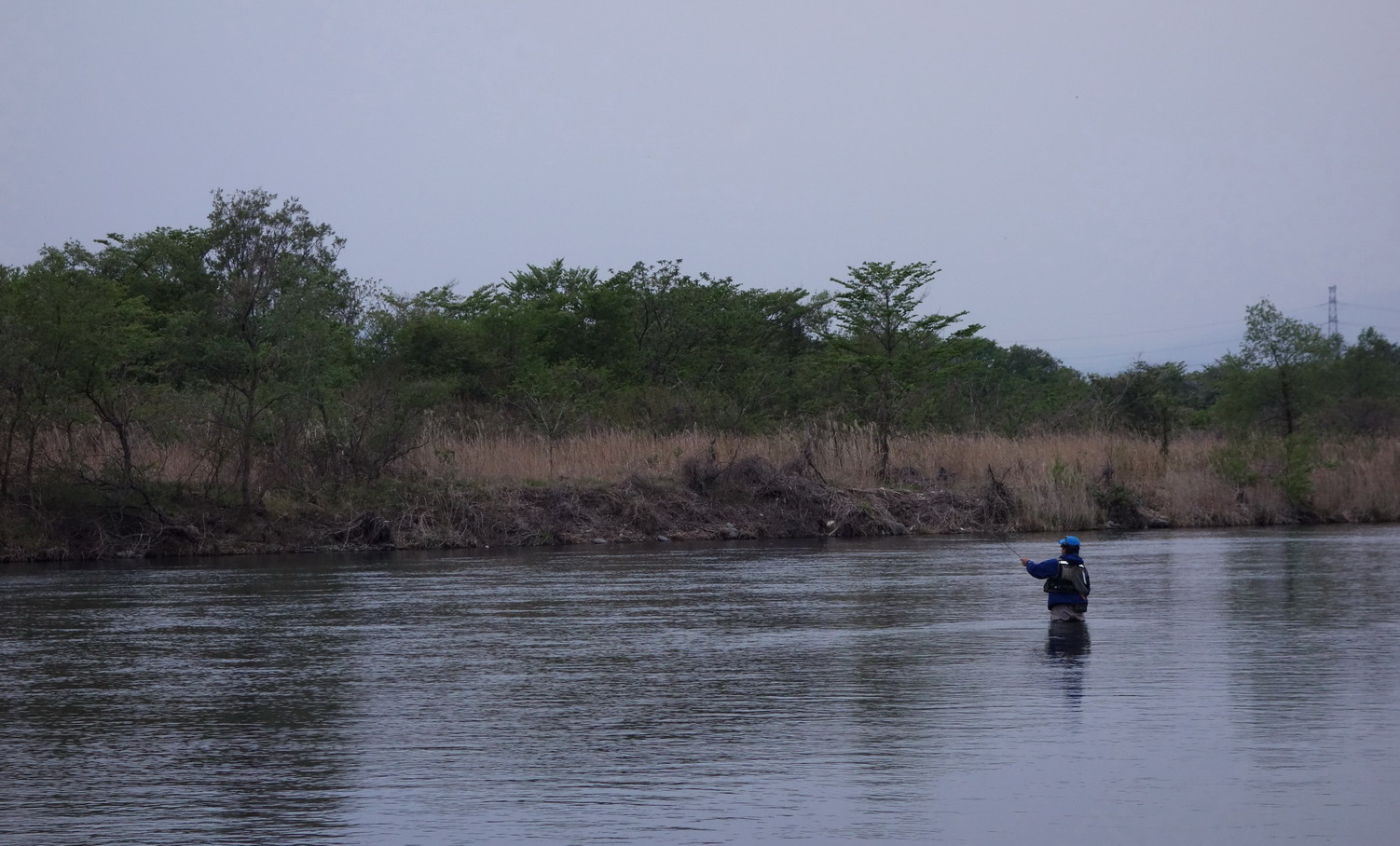 f0163561_8262759.jpg