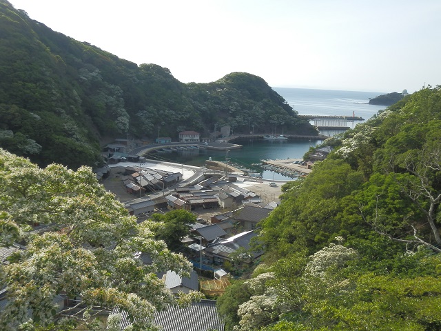 c0042869_20271889.jpg