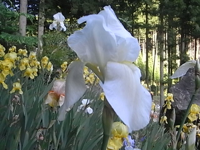 a0146070_6144910.jpg