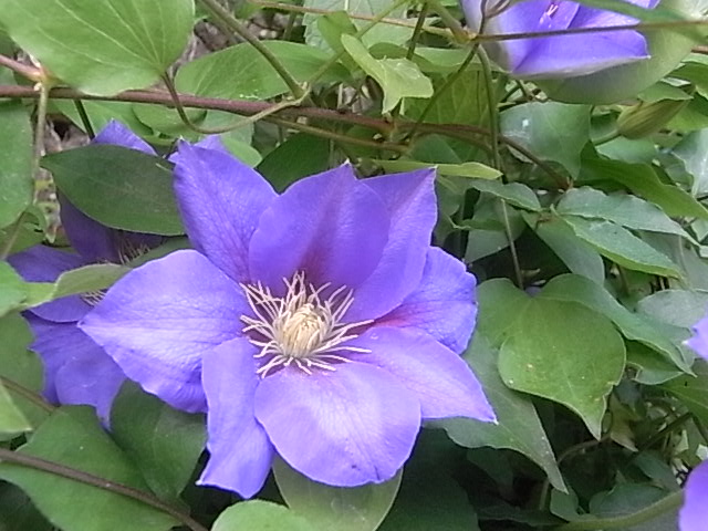a0146070_6183327.jpg