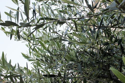 c0222474_21315978.jpg