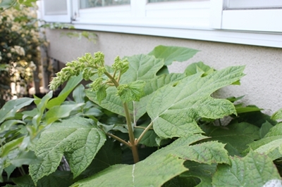 c0222474_224140.jpg