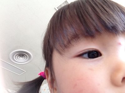 a0187575_70281.jpg