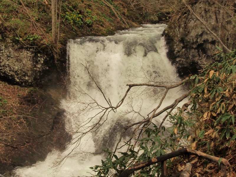 c0183777_18582232.jpg