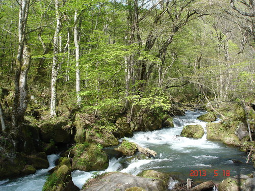 d0165378_947365.jpg