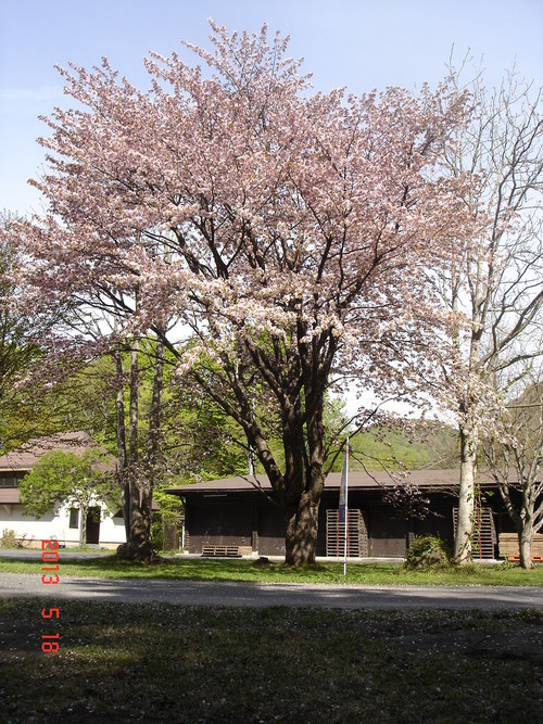 d0165378_9523214.jpg