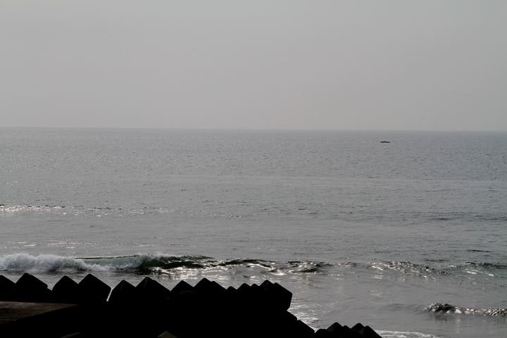 e0326479_19421015.jpg