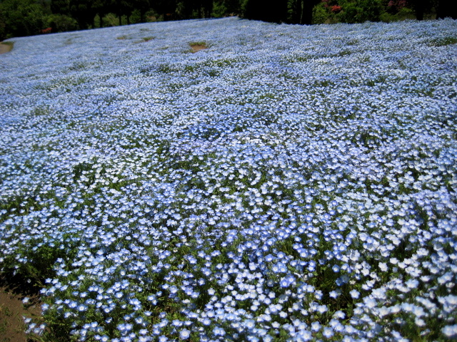 c0221281_22235195.jpg