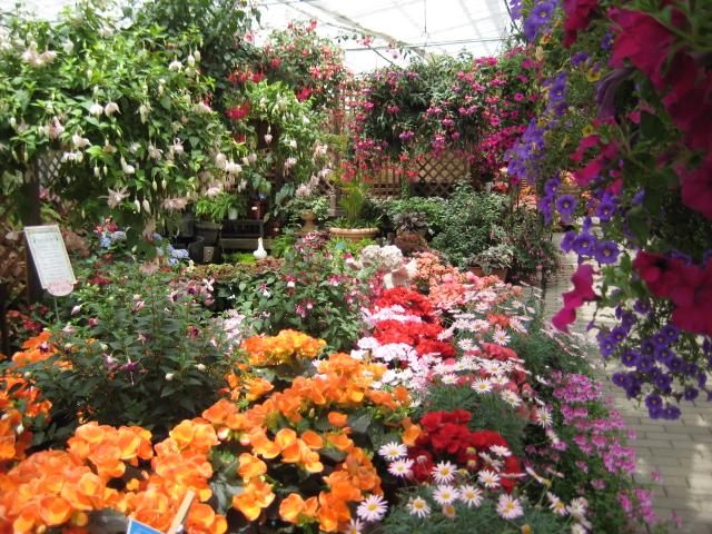 c0221281_22255430.jpg