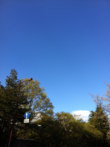 f0222387_1313650.jpg