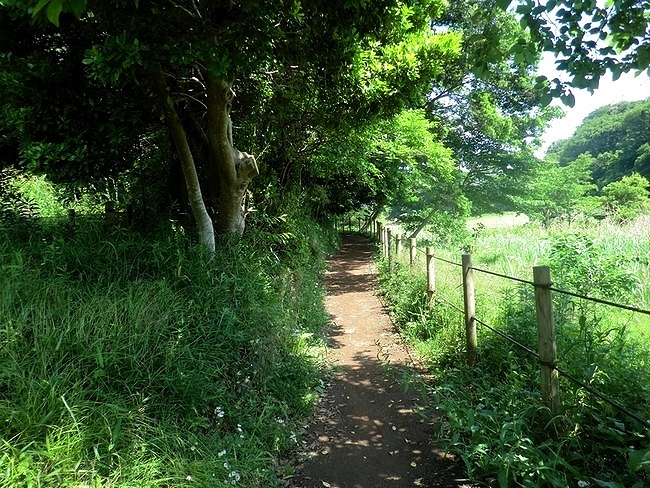 e0143690_17423790.jpg
