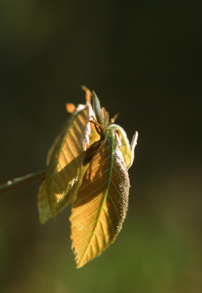 f0220698_21103164.jpg
