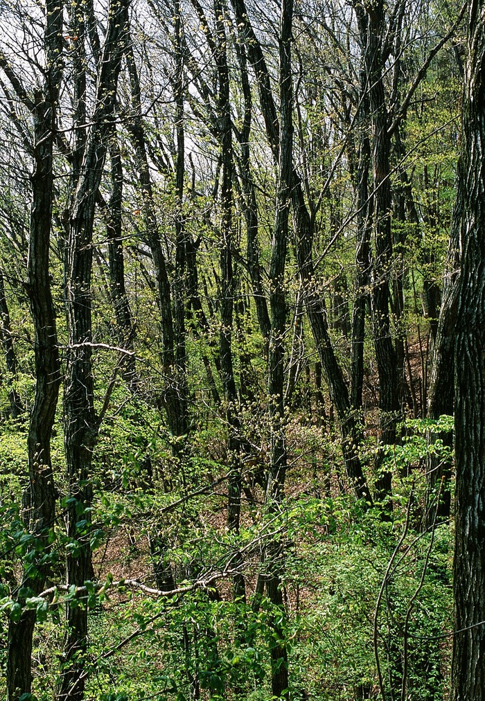 f0220698_21103899.jpg