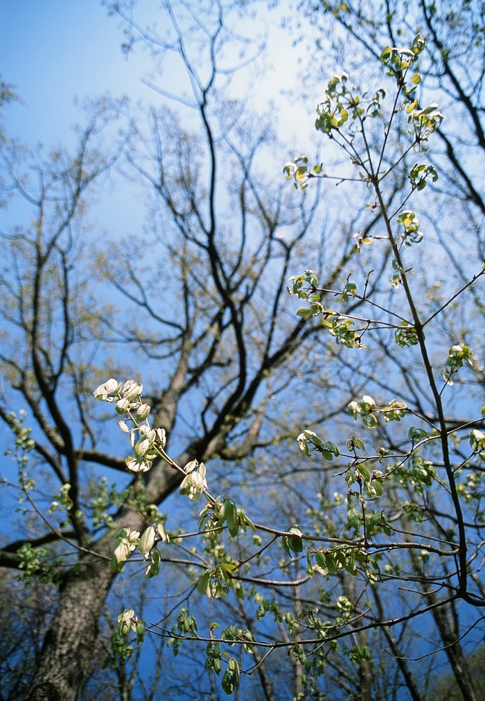 f0220698_21111446.jpg