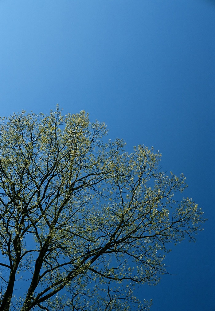 f0220698_2143130.jpg