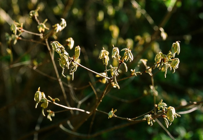 f0220698_216098.jpg