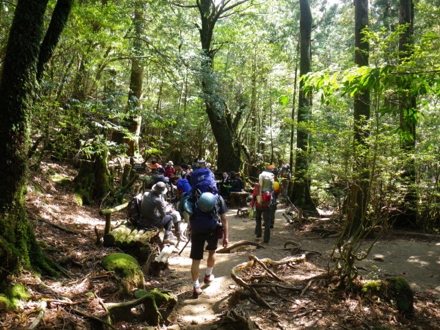 d0006512_13373969.jpg