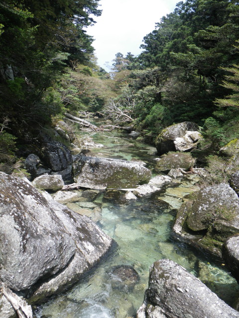 d0006512_16272024.jpg