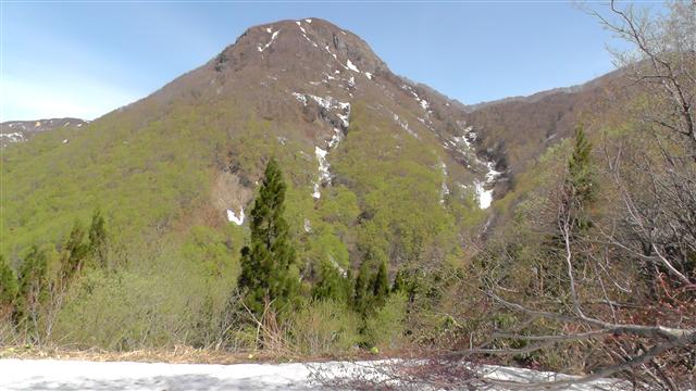 a0127015_741257.jpg