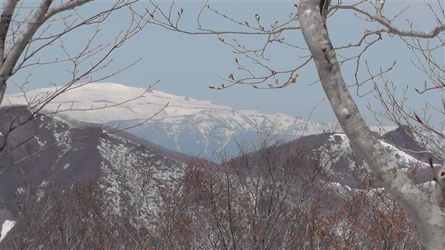 a0127015_7453460.jpg
