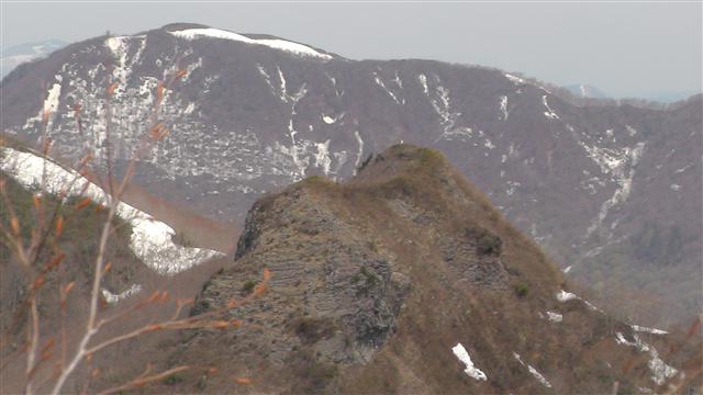 a0127015_7454937.jpg